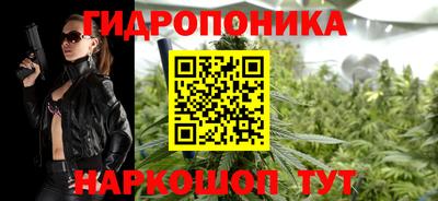 наркотики Кингисепп