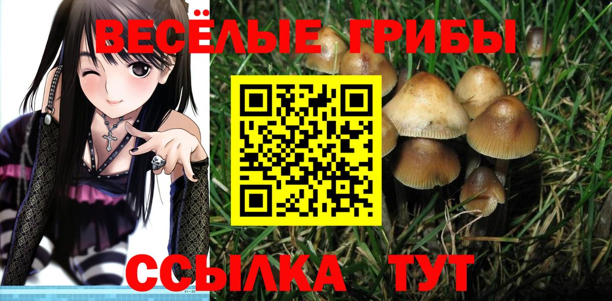 Псилоцибиновые грибы мухоморы  Вход с VPN  Татарск 